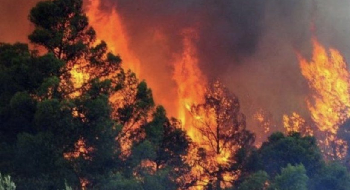 Zjarri në Krujë merr përmasa të frikshme, flakët afrohen drejt banesave