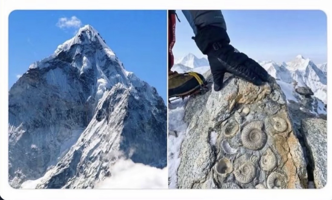 Shkëmbinj detarë në majë të Everestit: Mali më i lartë dikur ishte nën oqean